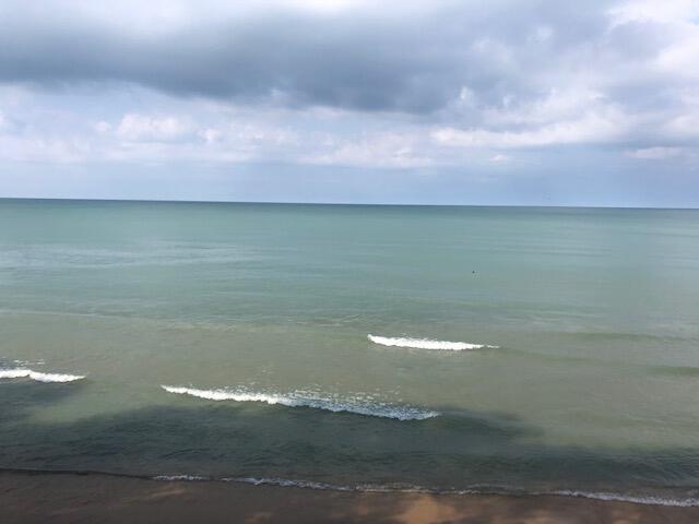 5848 Jackson Street Coloma, MI 49038 - Photo 4 of 11 20220130200355725663000000-o