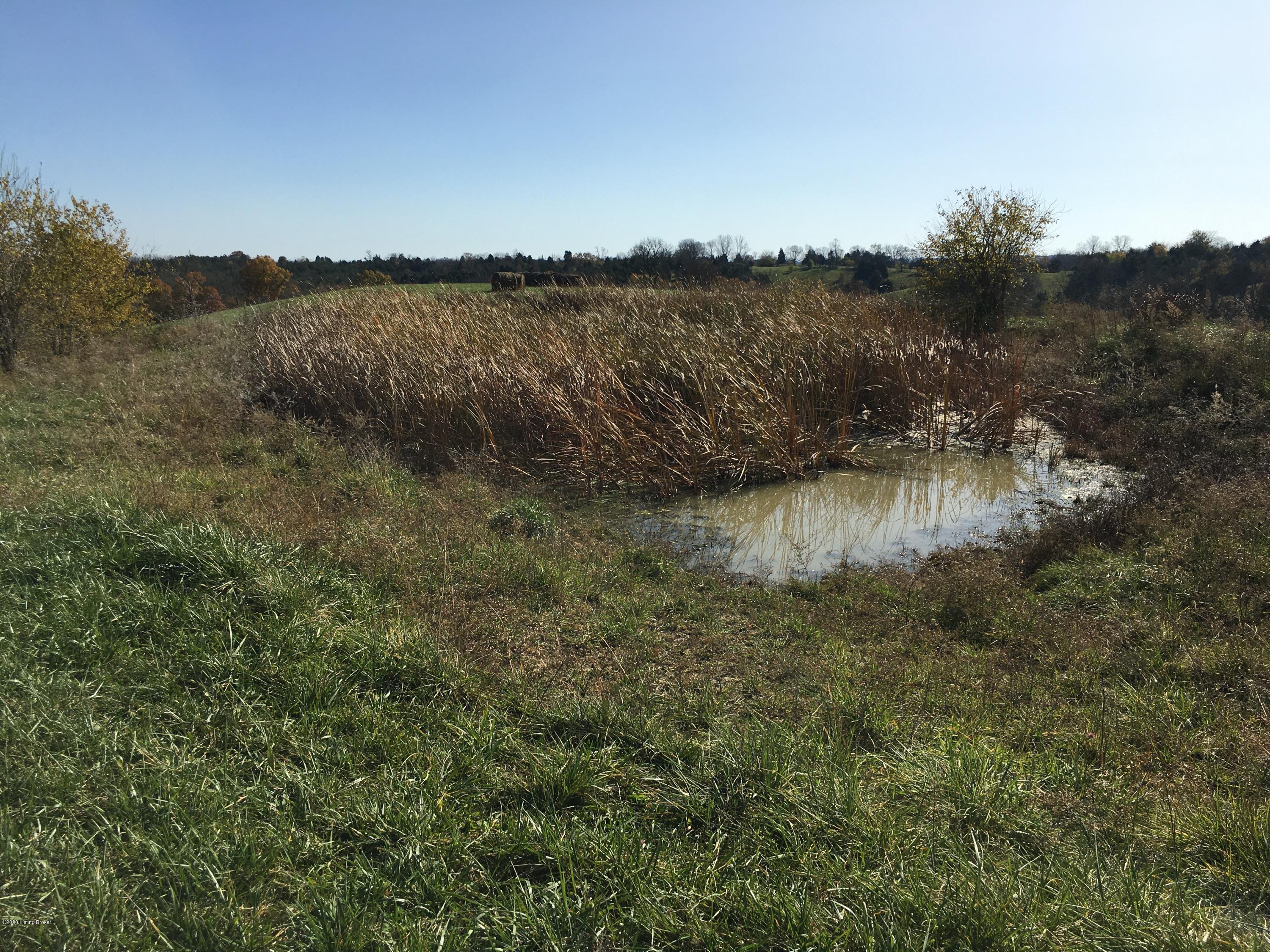 571 Stoney Run Road Richmond, KY 40475 - Photo 17 of 33 Man made pond
