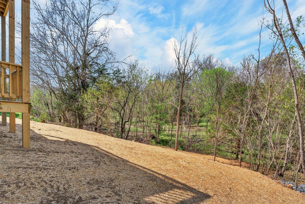 254 Locustdale Loop Shenandoah, VA 22849 - Photo 11 of 58 a view of a backyard of the house