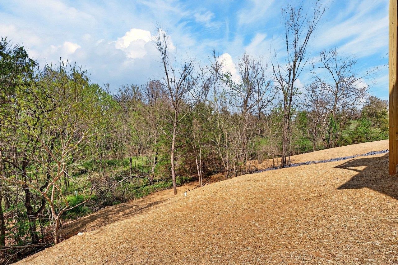 254 Locustdale Loop Shenandoah, VA 22849 - Photo 12 of 58 a view of a backyard of the house