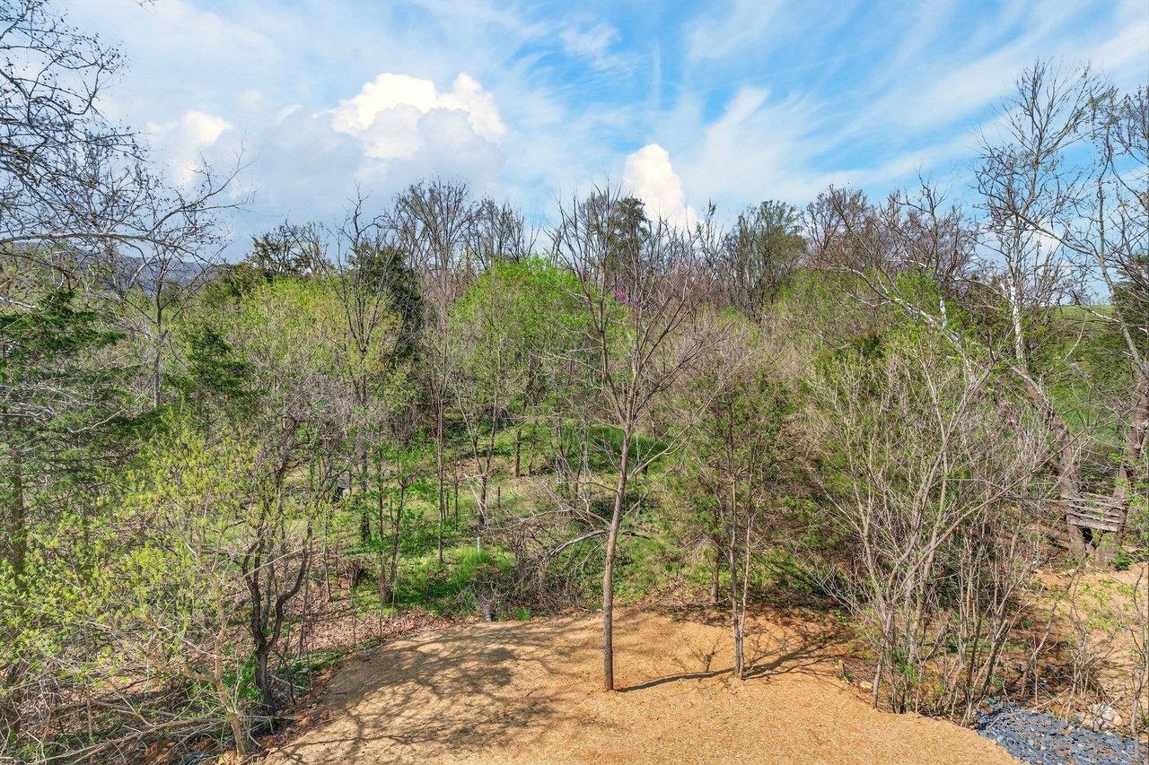 254 Locustdale Loop Shenandoah, VA 22849 - Photo 26 of 58 View from the back
