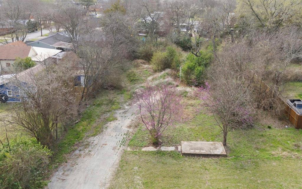 a view of a yard with trees