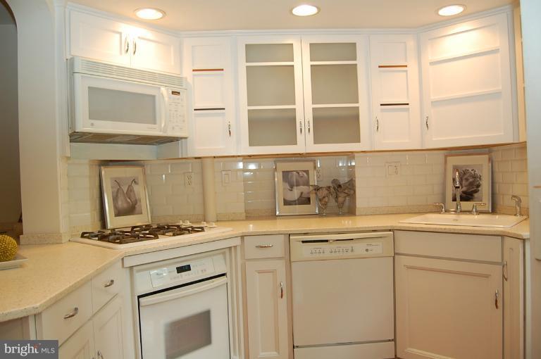 9508 Saybrook Avenue Silver Spring, MD 20901 - Photo 18 of 28 Kitchen
