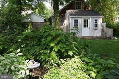 9508 Saybrook Avenue Silver Spring, MD 20901 - Photo 8 of 28 Exterior (Rear)