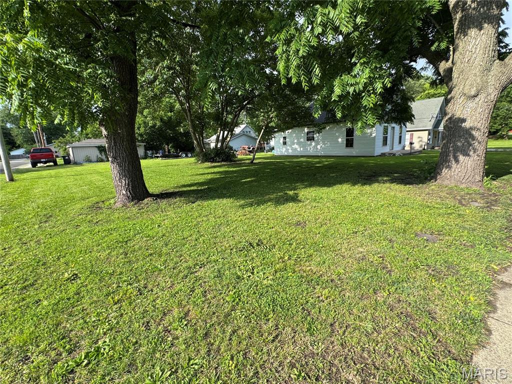 603 East Chestnut Street Gillespie, IL 62033 - Photo 6 of 12