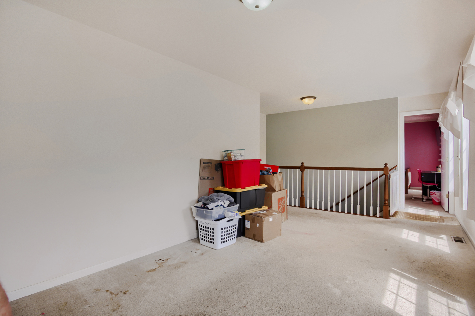 1607 Mountain Ridge Pass Plainfield, IL 60586 - Photo 13 of 28