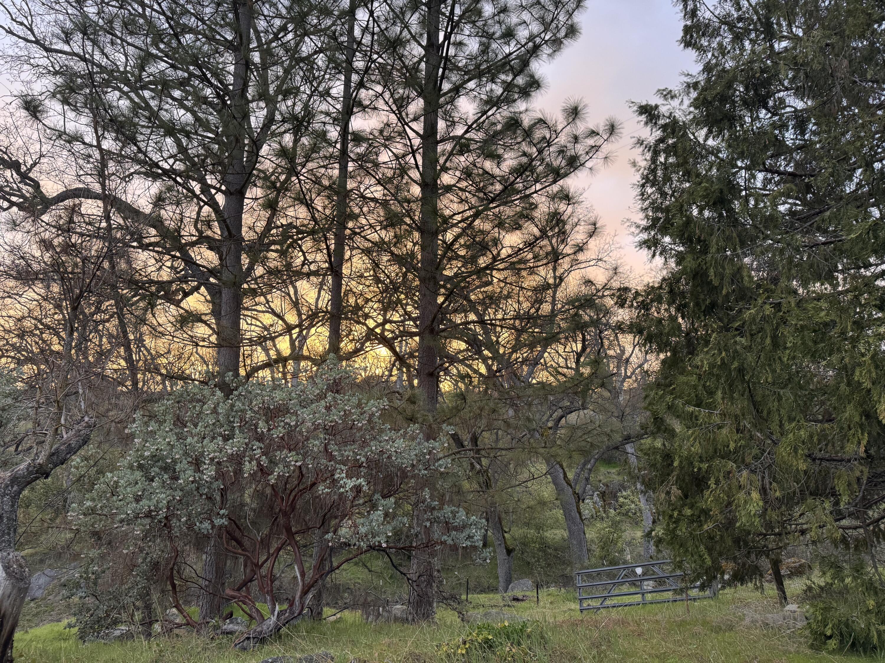 1440 Whitaker Forest Road Badger, CA 93603 - Photo 33 of 56 IMG_8267 2