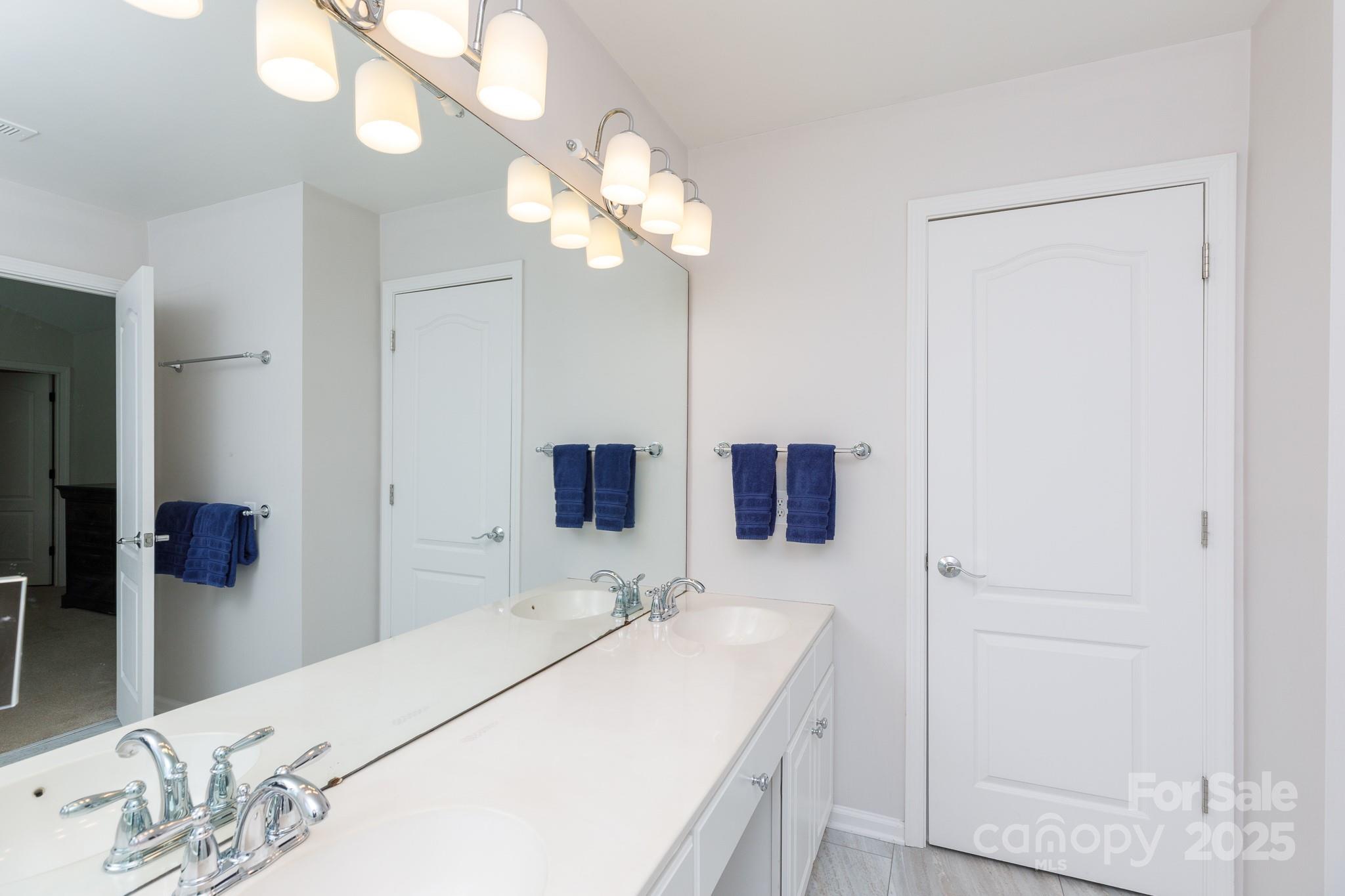 2815 Providence Spring Lane Charlotte, NC 28270 - Photo 23 of 42 a bathroom with a sink a light fixture and a mirror