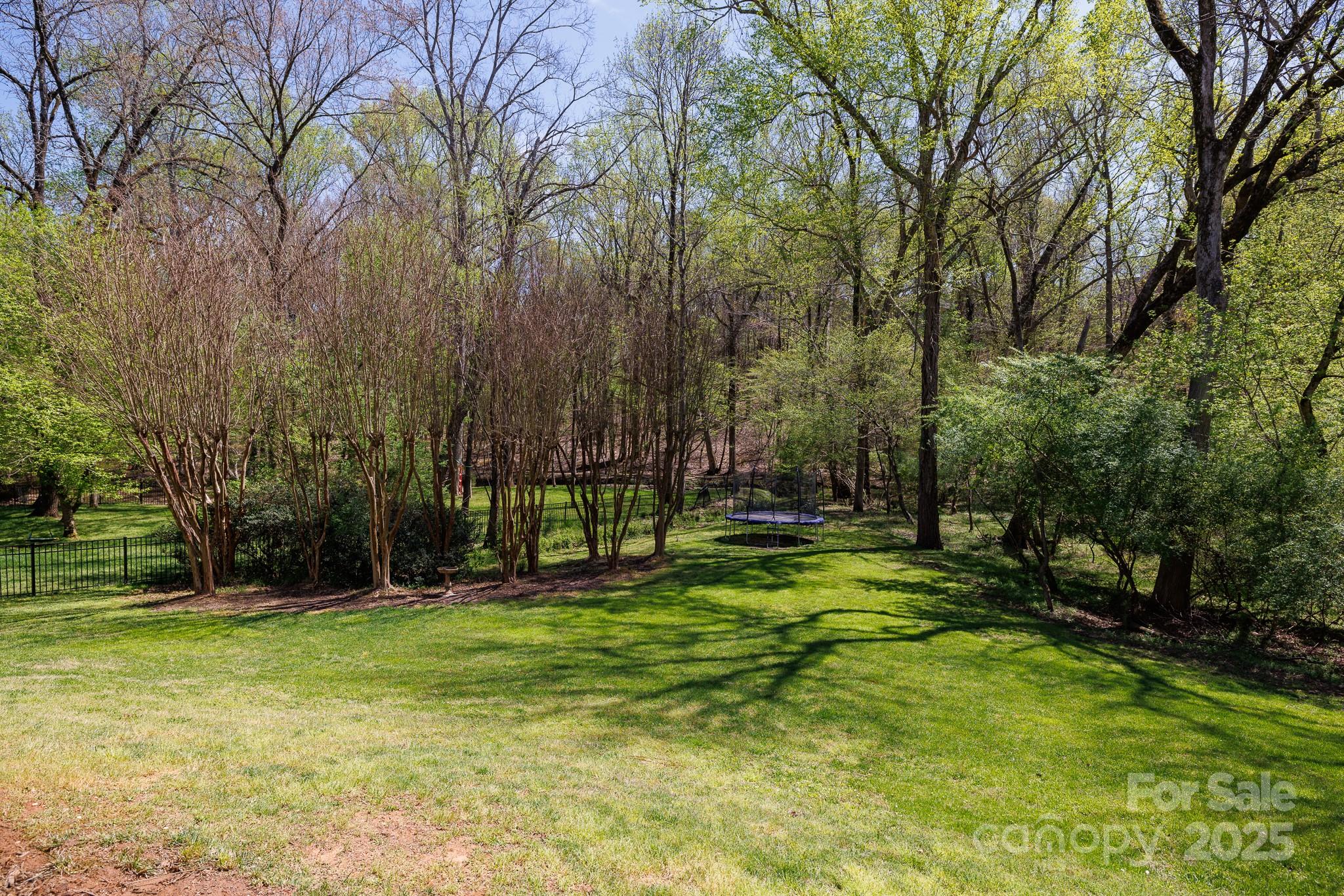 2815 Providence Spring Lane Charlotte, NC 28270 - Photo 37 of 42 a view of a park with large trees