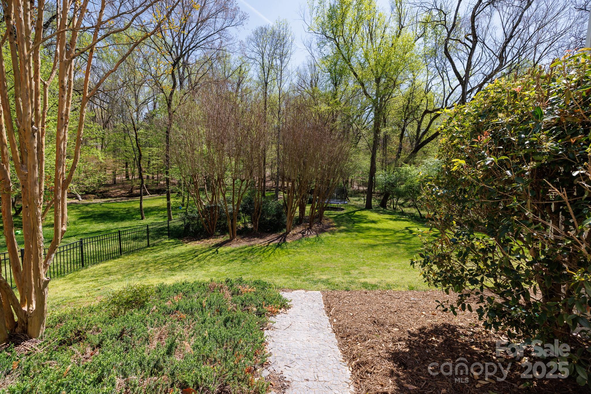 2815 Providence Spring Lane Charlotte, NC 28270 - Photo 40 of 42 a view of backyard with green space