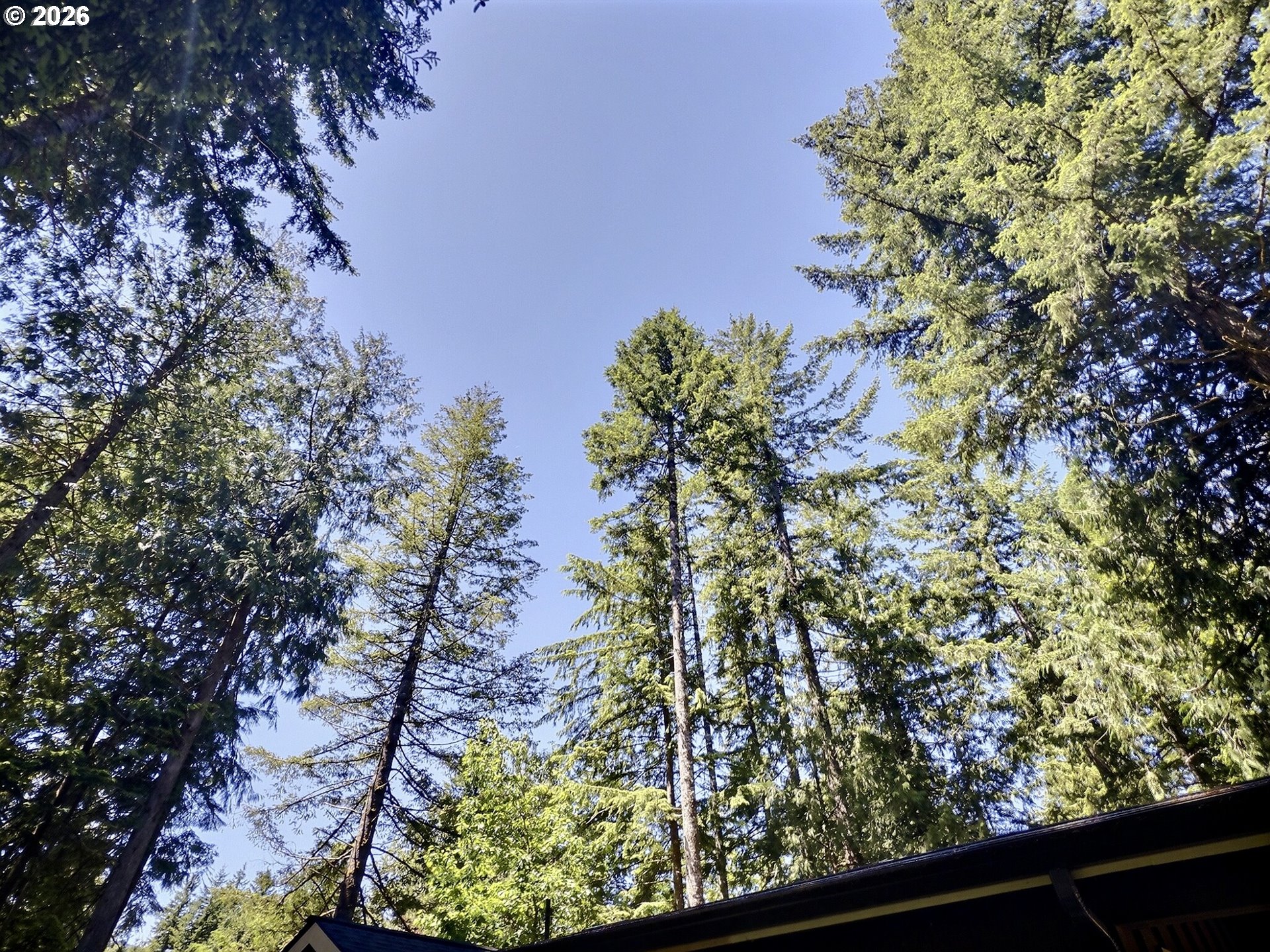 64934 East Lupine Drive Rhododendron, OR 97049 - Photo 21 of 28