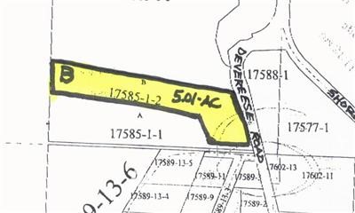 -lot B Devereese Road Chehalis, WA 98532 - Photo 1 of 1 Gallery Image 1