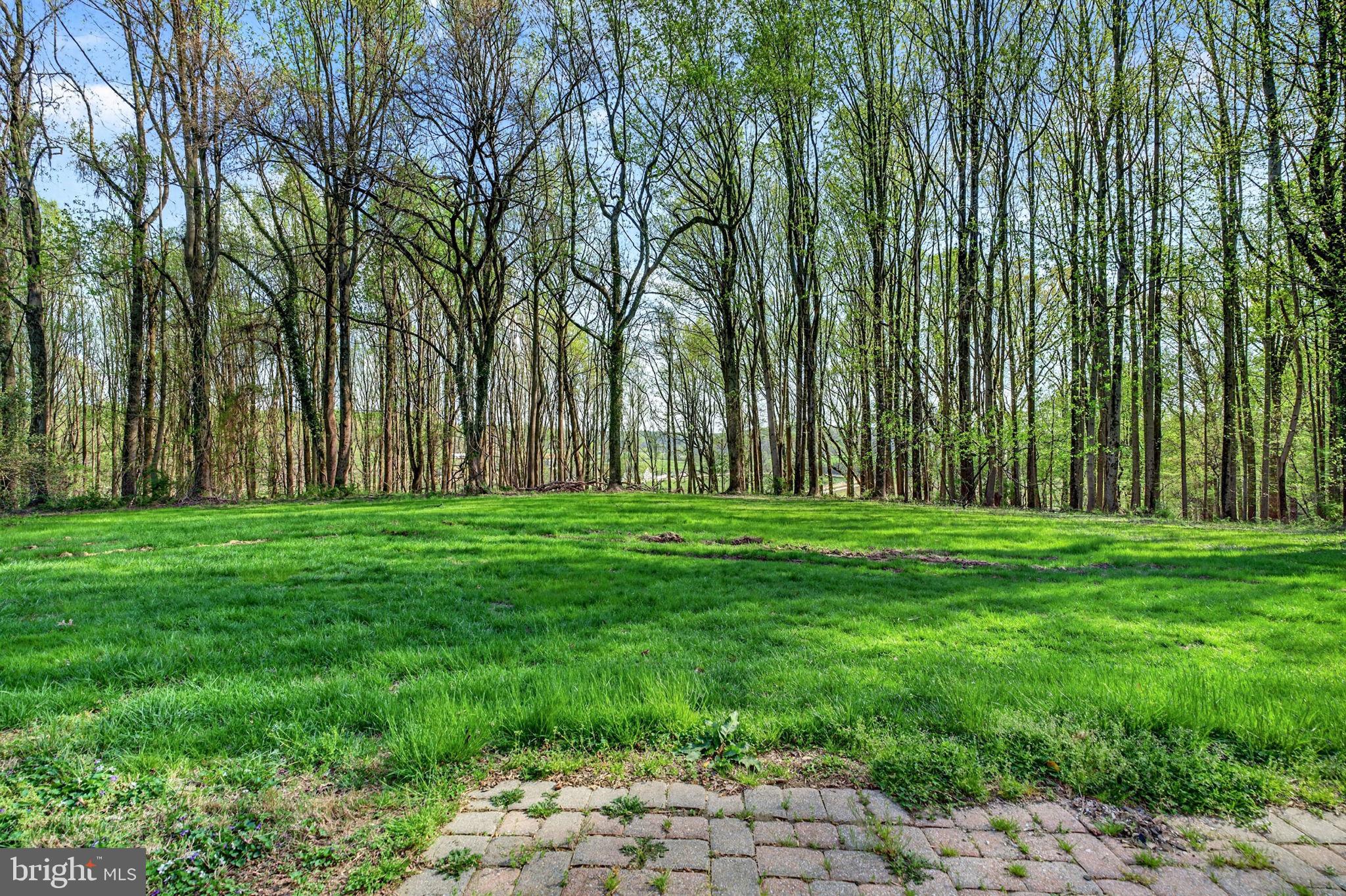 13009 Bottom Road Hydes, MD 21082 - Photo 86 of 97