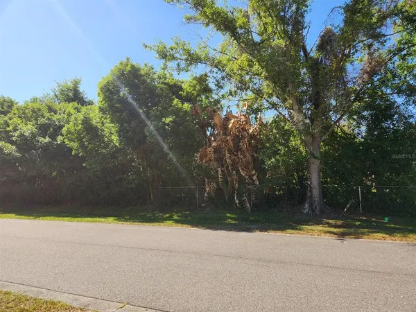 a view of a yard with plants and trees