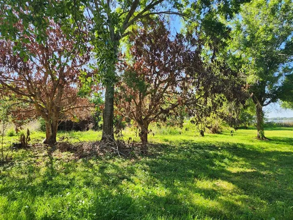 a big yard with lots of green space and trees
