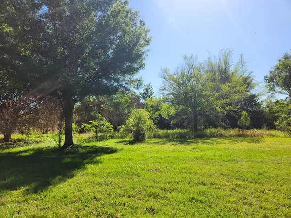 a view of a trees with a yard