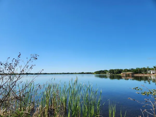 a view of a lake with plants and large trees