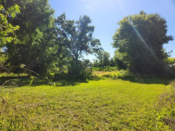 a big yard with lots of green space and trees all around
