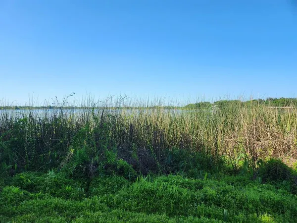 a view of a lush green field