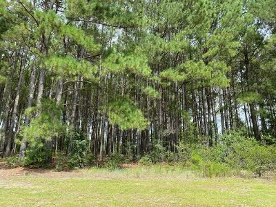 168 Wexford Mill Road Wagener, SC 29164 - Photo 3 of 12 Gallery Image 3