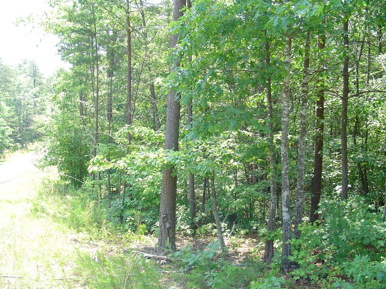 3000 New Ridge Road Elliston, VA 24087 - Photo 4 of 6 a view of a garden