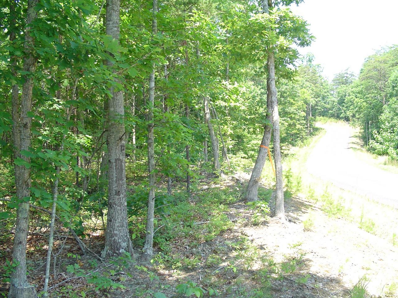 3000 New Ridge Road Elliston, VA 24087 - Photo 5 of 6 a view of yard