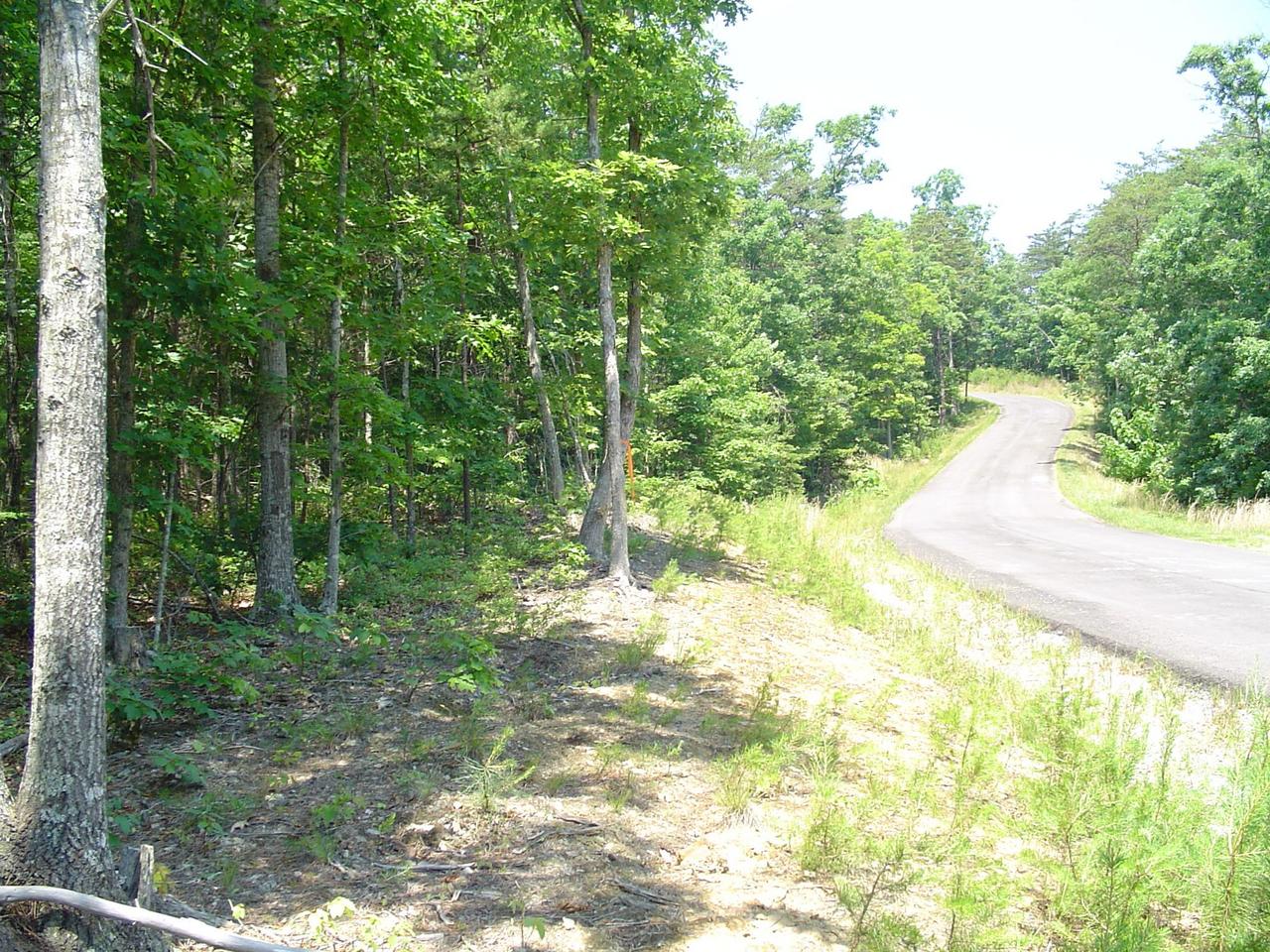 3000 New Ridge Road Elliston, VA 24087 - Photo 6 of 6 a view of a yard with plants and large trees