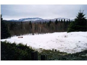 1715 Buck Hill Road Westfield, VT 05874 - Photo 3 of 3