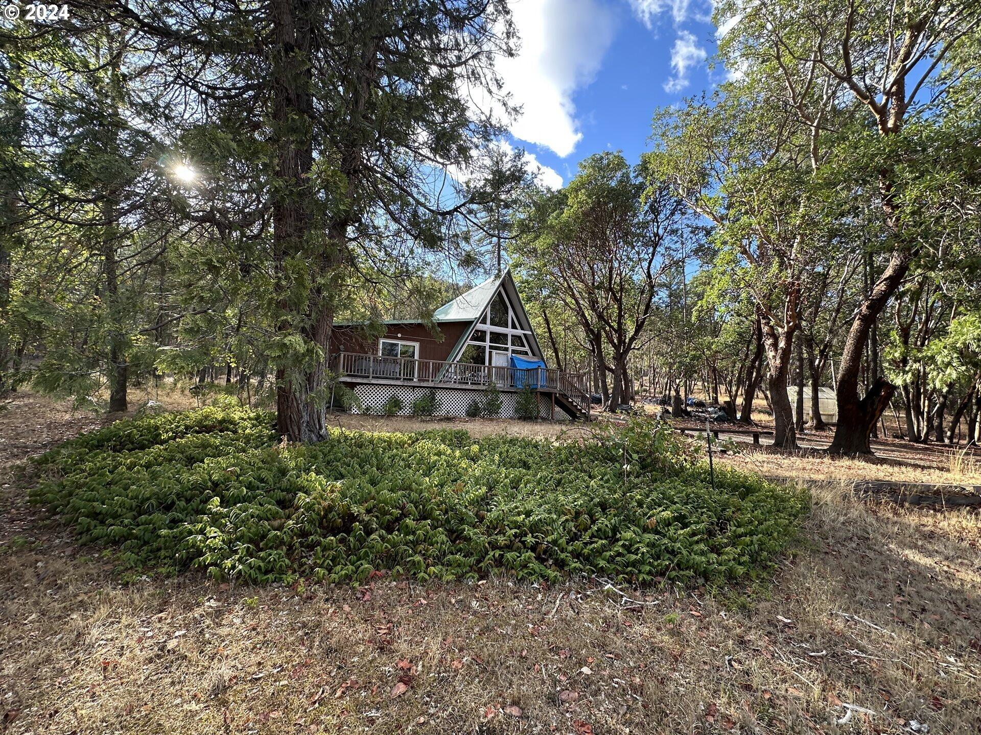 244 Dunlap Road Jacksonville, OR 97530 - Photo 18 of 23 24465228-7