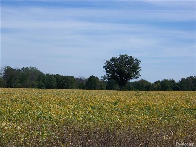 Vl Antcliff Road Howell, MI 48855 - Photo 1 of 1