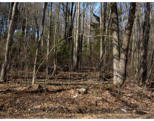 45 East Hill Road Brimfield, MA 01010 - Photo 1 of 1 Gallery Image 1