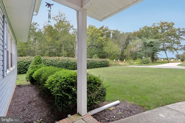 a view of a yard with a tree in front of it