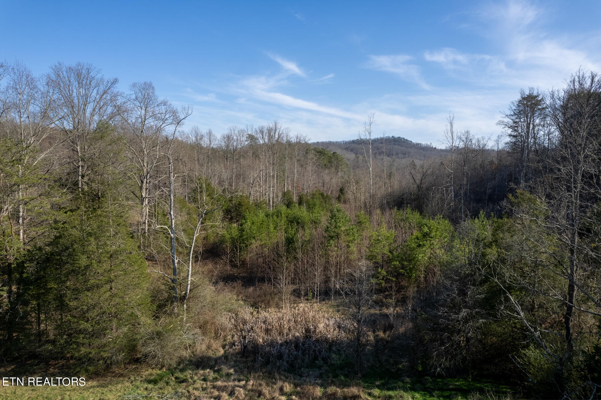 0 Bethlehem Road Madisonville, TN 37354 - Photo 2 of 12 Gallery Image 2