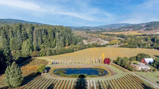 a view of a lake with lots of trees
