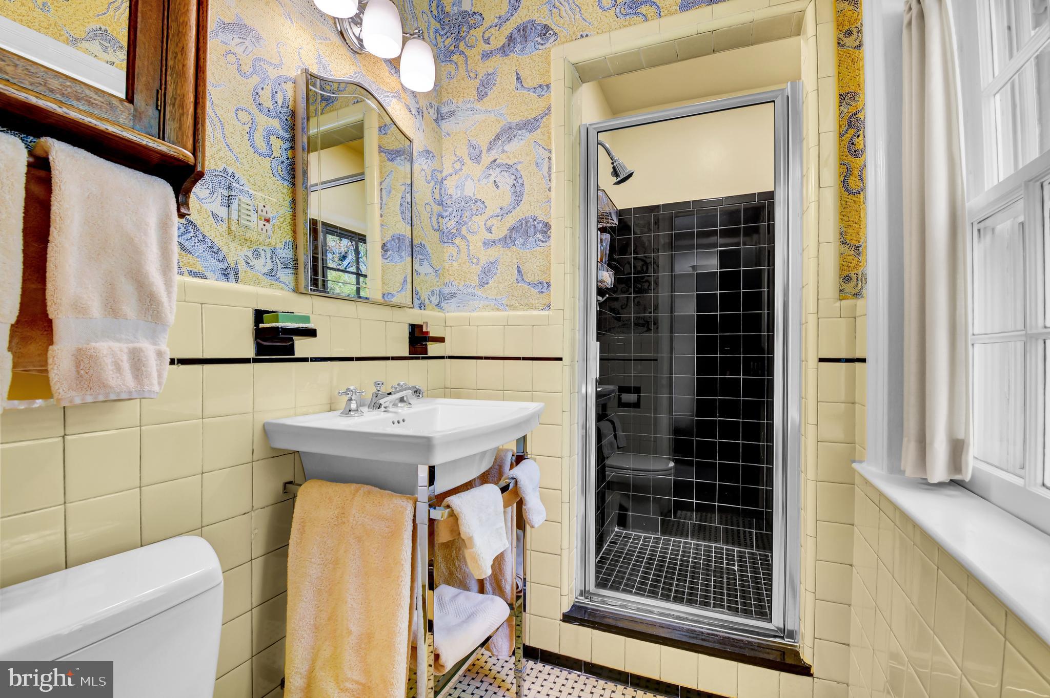 3400 Legation Street Northwest Washington, DC 20015 - Photo 19 of 49 Primary Shower Bath
