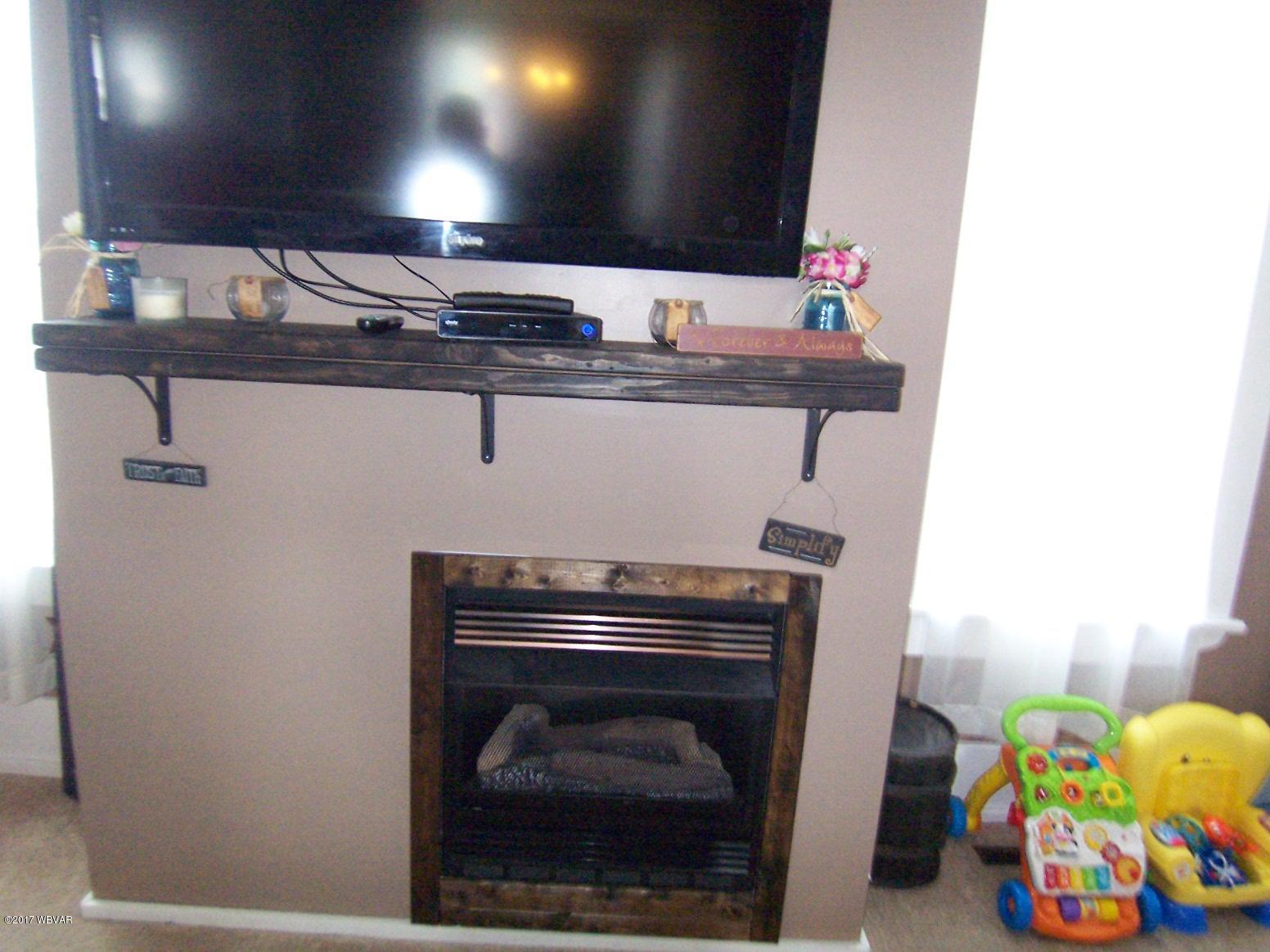 814 Long Run Road Mill Hall, PA 17751 - Photo 8 of 39 propane fireplace