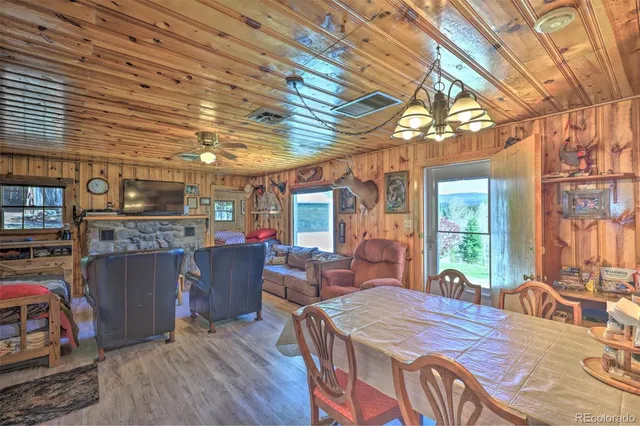 a view of a backyard with large trees and plants
