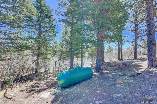 a green field with some trees in the background
