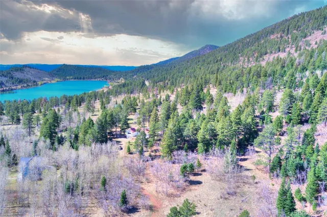 a view of a bunch of flowers
