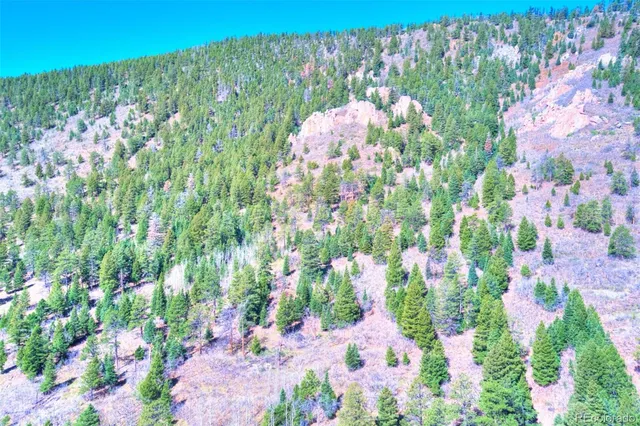 a picture of a bench in the back