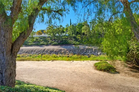 a view of backyard with plants and green space