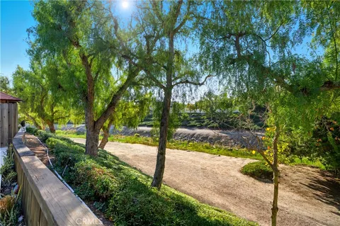 a view of a yard with plants and large trees