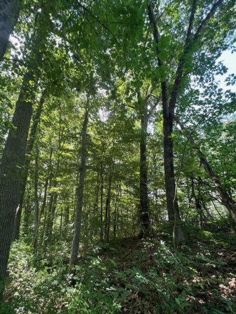 0 Thompson Ridge Road Laurelville, OH 43135 - Photo 2 of 5 IMG_2961