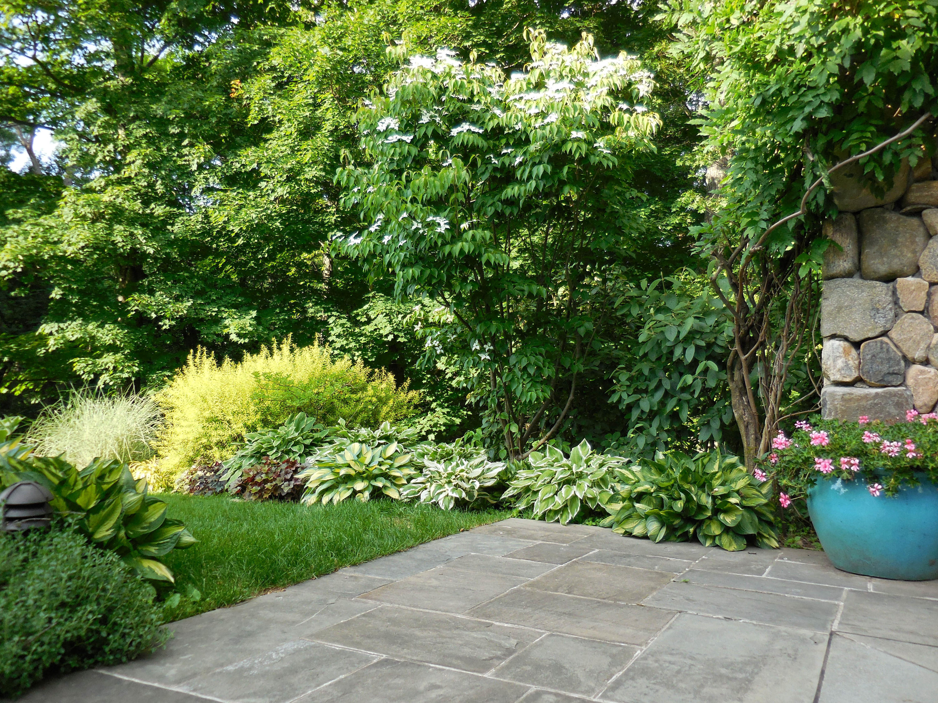 276 White Oak Shade Road New Canaan, CT 06840 - Photo 31 of 36 a view of a garden with plants
