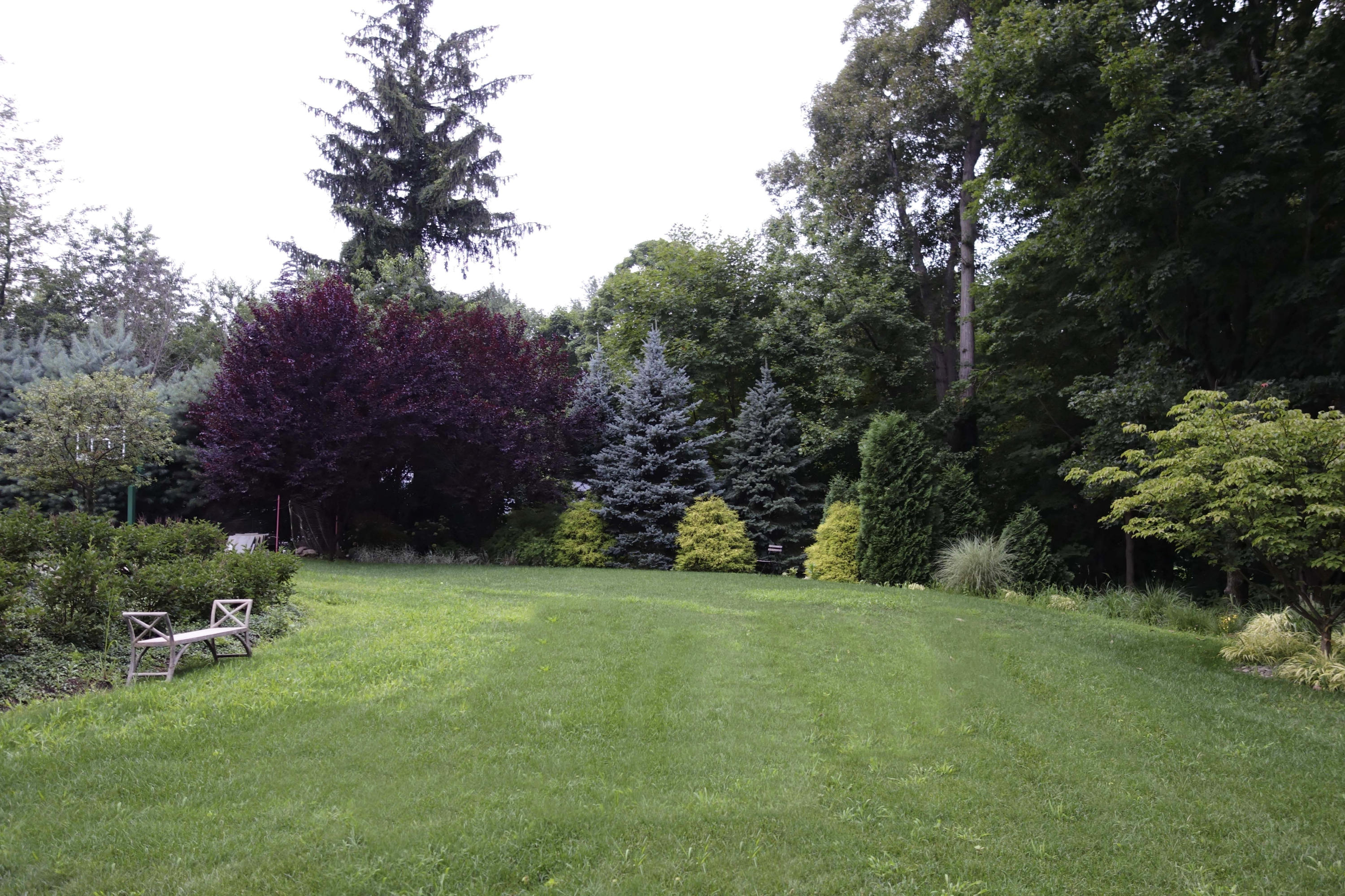 276 White Oak Shade Road New Canaan, CT 06840 - Photo 35 of 36 a view of a garden