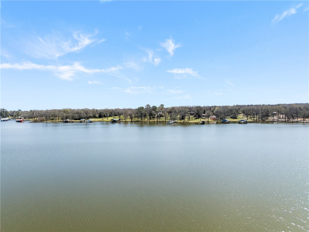 9249 Clyde Acord Road Franklin, TX 77856 - Photo 19 of 23