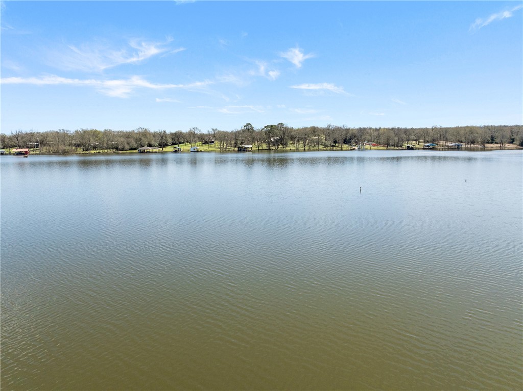 9249 Clyde Acord Road Franklin, TX 77856 - Photo 20 of 23