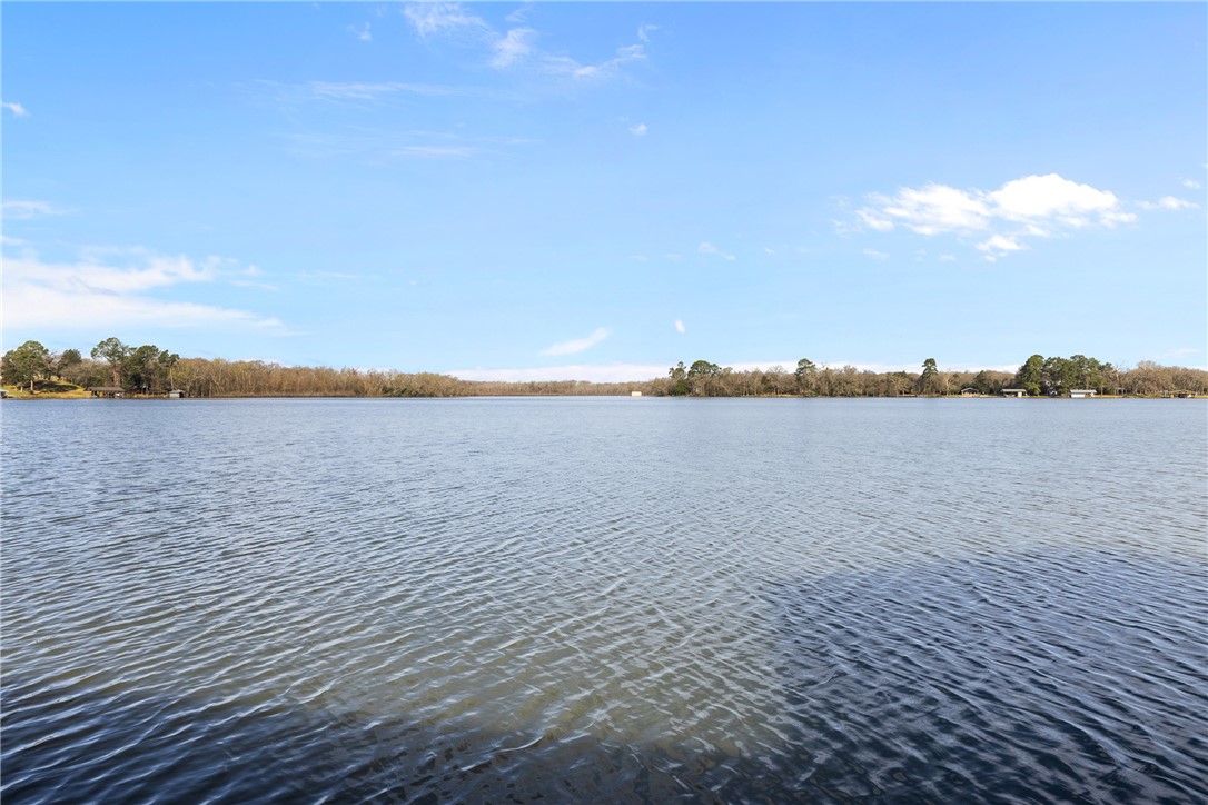 9249 Clyde Acord Road Franklin, TX 77856 - Photo 5 of 23