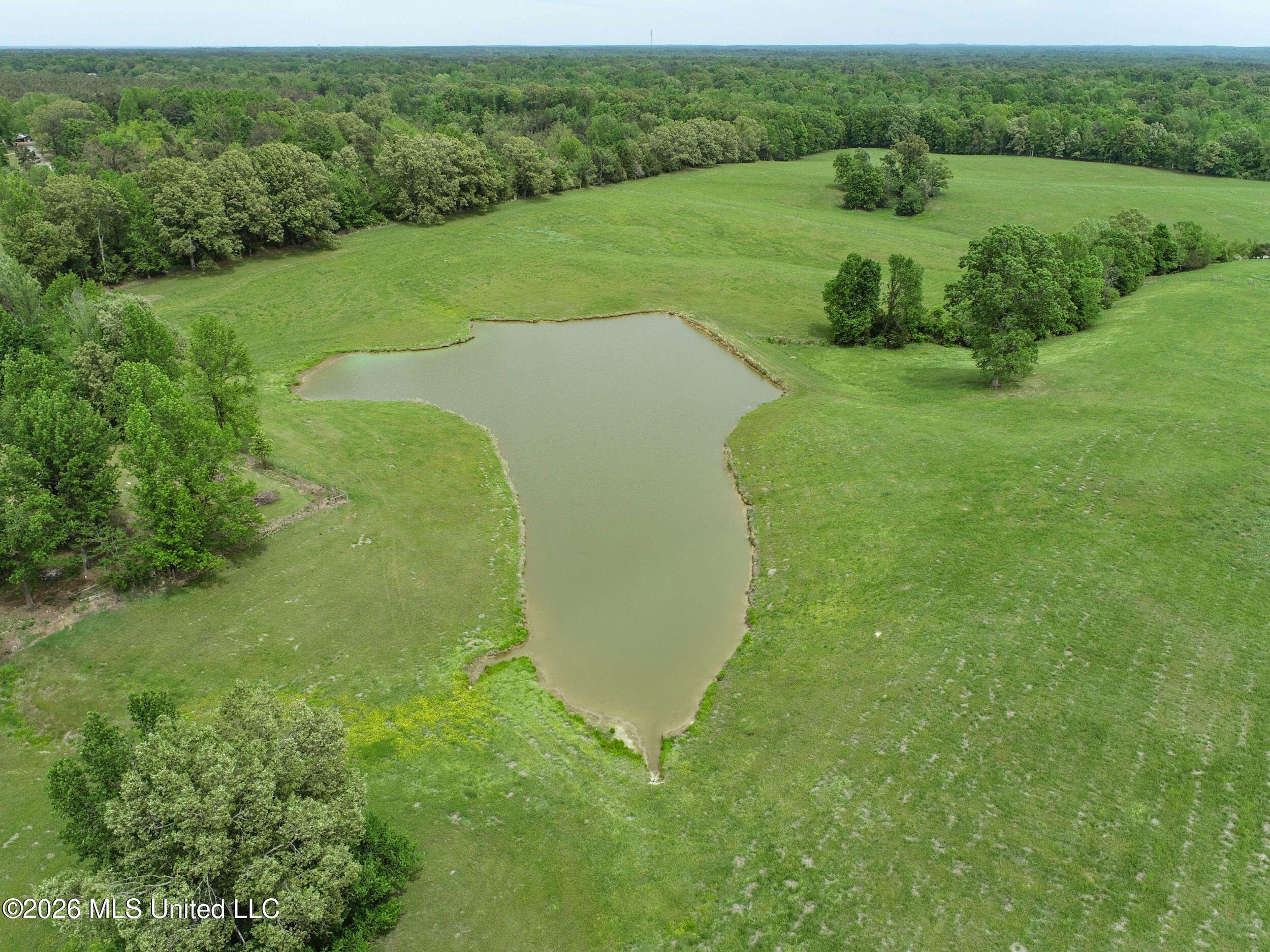 116 Hawkins Road Courtland, MS 38620 - Photo 14 of 200 2tamtgm7