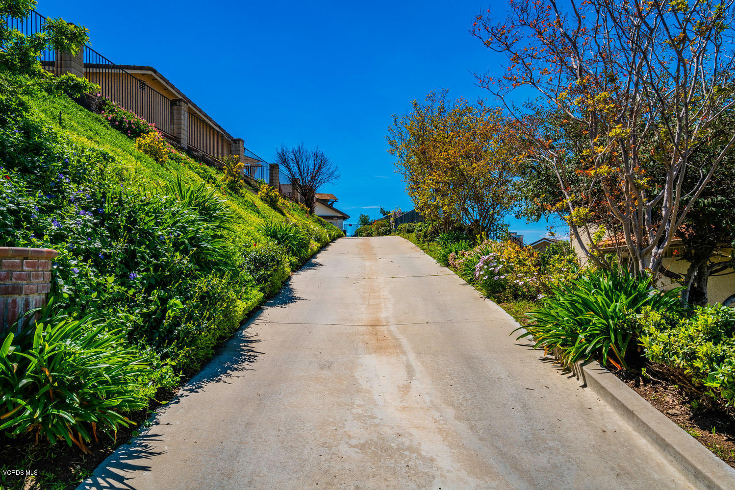 13762 Gunsmoke Road Moorpark, CA 93021 - Photo 6 of 36 a view of a garden with a pathway